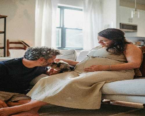 成都第三代试管婴儿费用解析：助孕机构价格构成与选择指南